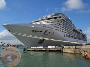 MSC Cruises-Splendida