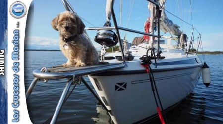 Sailing with a dog