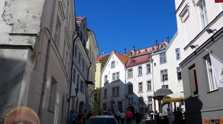 Tallin 5