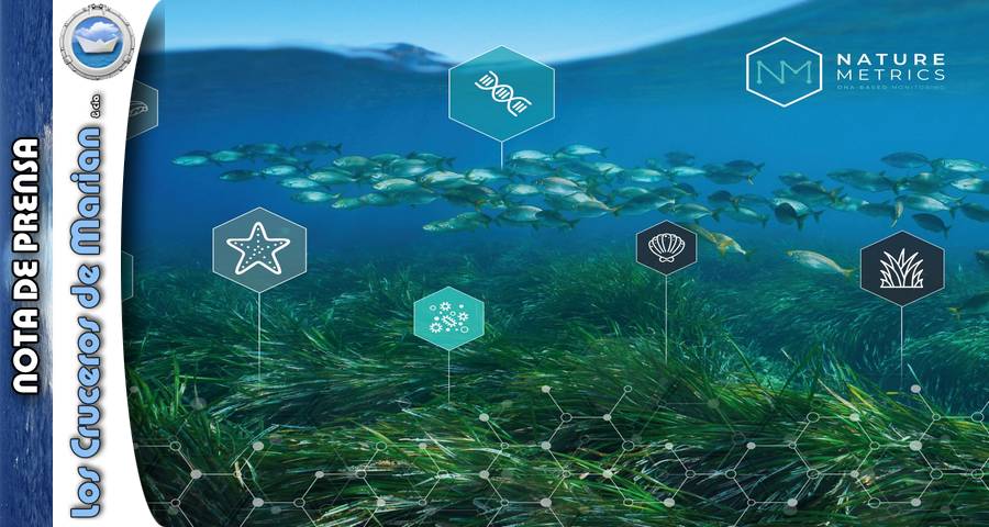 NatureMetrics, MSC Cruceros y la Fundación MSC unen sus fuerzas para avanzar en el conocimiento de las especies marinas más amenazadas