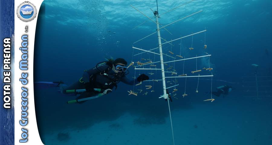 La Fundación MSC celebra el primer aniversario de su centro de conservación marina en Las Bahamas