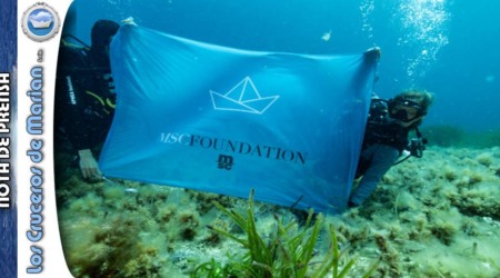MSC Foundation 1